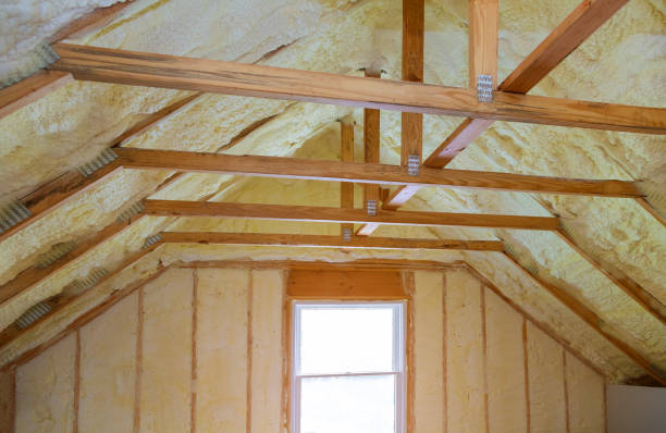 Best Blown-in Insulation  in Thornton, IL