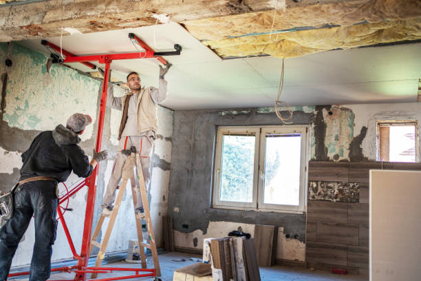 Best Best Insulation Companies  in Thornton, IL