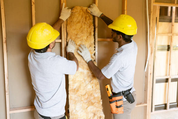Best Residential Insulation Services  in Thornton, IL