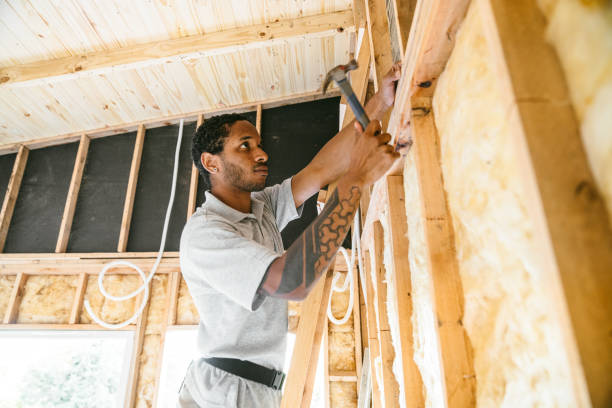 Best Attic Insulation Installation  in Thornton, IL