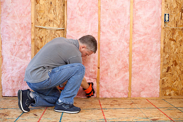 Insulation Repair Services in Thornton, IL