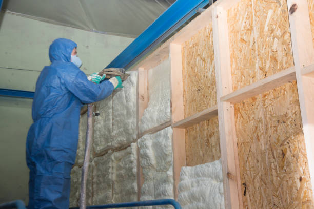 Best Local Insulation Services  in Thornton, IL